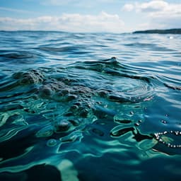 Calma Costera Oceánica: Dicha Y Relajación Junto A La Playa - Orquesta de las Naturalezas