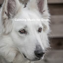 Calming Music for Dogs - Soothing Dog Sounds