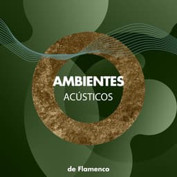 Ambientes Acústicos de Flamenco para Cafeterías - Guitarra Clásica Española