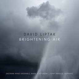 David Liptak: Brightening Air - David Liptak