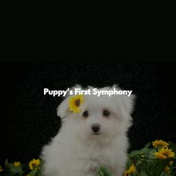 Puppy's First Symphony - Jazz Rilassante Playlist