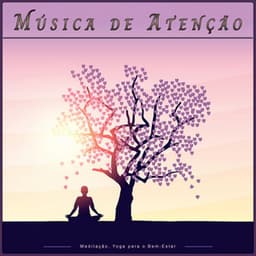 Música de Atenção: Meditação, Yoga para o Bem-Estar - 1 Hora de Meditação