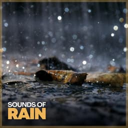 Sounds of Rain - Rainforest Sounds