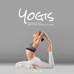Yogis - New Age Yoga Meditation and Relaxation Music Vol. 2 - Yogi Zone