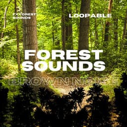 Forest Sounds with Brown Noise, Loopable - FX Forest Sounds