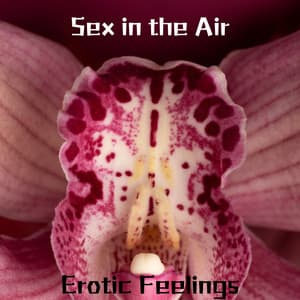 Sex in the Air: Erotic Feelings - Slow Sex Music