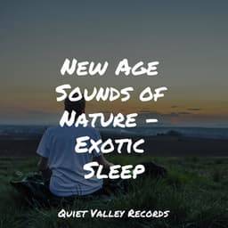 New Age Sounds of Nature - Exotic Sleep - Lightning
