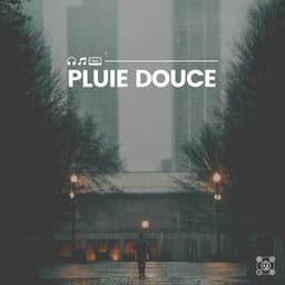 Pluie douce - Sons De Pluie HD