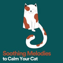 Soothing Melodies to Calm Your Cat - Music for Cats Peace