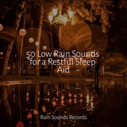 50 Low Rain Sounds for a Restful Sleep Aid - PowerThoughts Meditation Club