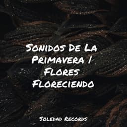 Sonidos De La Primavera | Flores Floreciendo - Música Instrumental Maestro