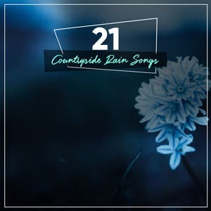 12 RainAlbum for Deep Sleep - Sample Rain Library