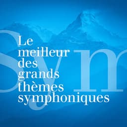 Le meilleur des grands thèmes symphoniques - 165 oeuvres incontournables de musique classique