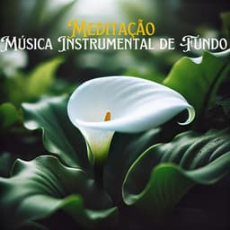 Meditação - Música Instrumental de Fundo – Hang Drum, Flauta, Lira, Ondas, Chuva, Vento, Rio, Mar, Harpa, Piano, Guzheng, Hotchiku, Sitar, Tambores - Meditação e Espiritualidade Musica Academia