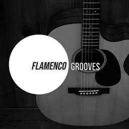 # 1 Album: Flamenco Grooves - Astramento