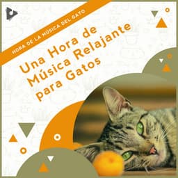 1 Hora de Música Relajante para Gatos - Hora de la Música del Gato