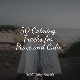 50 Calming Tracks for Peace and Calm - Relaxamento