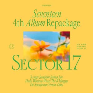 SEVENTEEN 4th Album Repackage 'SECTOR 17' - SEVENTEEN