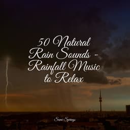 50 Natural Rain Sounds - Rainfall Music to Relax - Sounds of Nature Relaxation