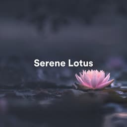 Serene Lotus - Background Music Experience