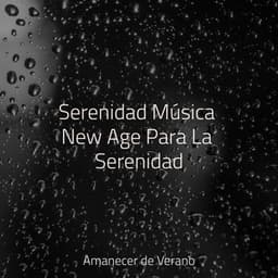 Serenidad Música New Age Para La Serenidad - Sonido de lluvia