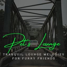 Pet's Lounge Jazz Delight: Coffee Serenades for Furry Companions - Easy Listening Soft Jazz
