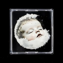 Paz con las Mascotas - Vibraciones Tranquilas