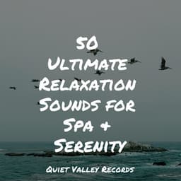50 Ultimate Relaxation Sounds for Spa & Serenity - Nature Chillout