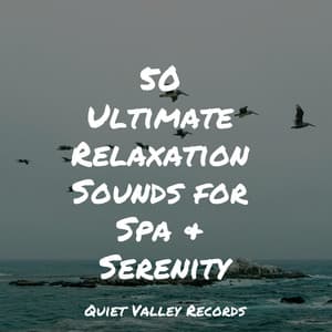 50 Ultimate Relaxation Sounds for Spa & Serenity - Nature Chillout