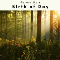 4 Rel: Birth of Day - Forest Noir