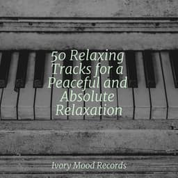 50 Relaxing Tracks for a Peaceful and Absolute Relaxation - Ivory Mood
