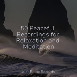 50 Peaceful Recordings for Relaxation and Meditation - Pro Sound Effects Library