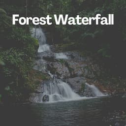 Forest Waterfall - Nature Label