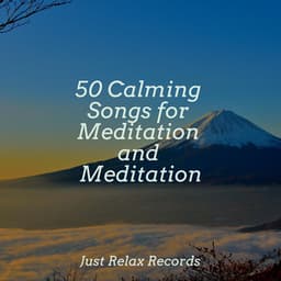 50 Calming Songs for Meditation and Meditation - Chillout Lounge