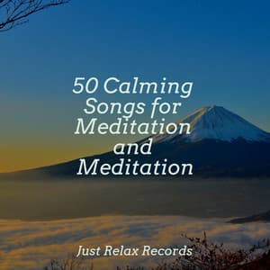 50 Calming Songs for Meditation and Meditation - Chillout Lounge