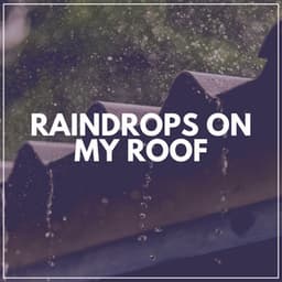Raindrops on My Roof - Stormy Station