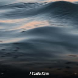 !!!!" A Coastal Calm "!!!! - Ocean Waves