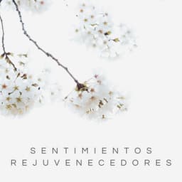 Sentimientos Rejuvenecedores - Ruido De Colores