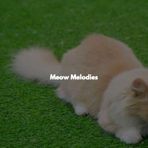 Meow Melodies - Smooth Jazz Bar Lounge Session