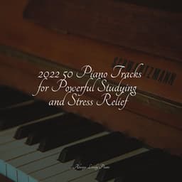Summer Melodies | Focused Studying and Relaxation - Piano Soul