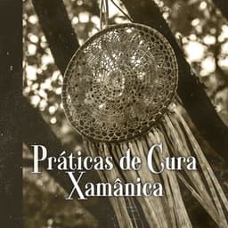 Práticas de Cura Xamânica - Meditation Group
