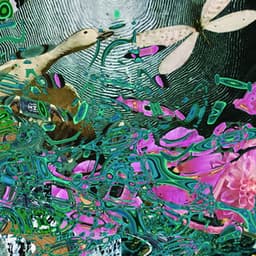 White Bird - Merzbow