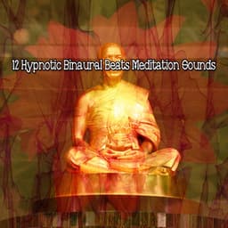 12 Hypnotic Binaural Beats Meditation Sounds - Binaural Beats Deep Sleep
