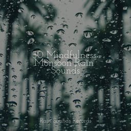 50 Mindfulness Monsoon Rain Sounds - Ambiente