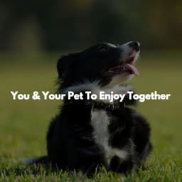 You & Your Pet To Enjoy Together - Chilled Jazz Atmosphere