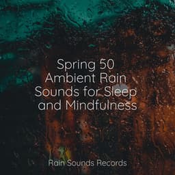 Spring 50 Ambient Rain Sounds for Sleep and Mindfulness - Canción de Cuna