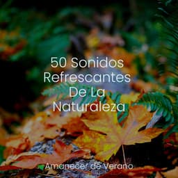 50 Sonidos Refrescantes De La Naturaleza - Musica romantica instrumental