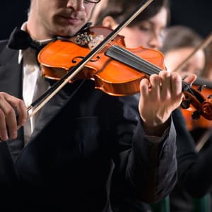 Night Orchestra for Peaceful Relaxation - Charles Anderson