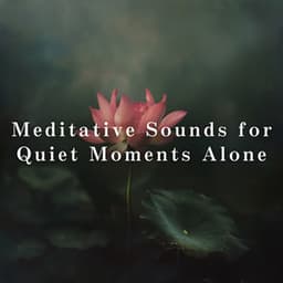 Meditative Sounds for Quiet Moments Alone - Relaxing BGM Project