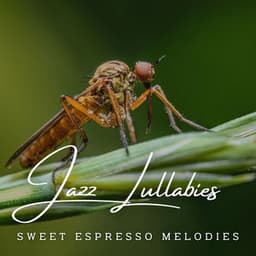 Jazz Lullabies: Cafe Lounge for Babies - Coffee Lounge Jazz Chill Out